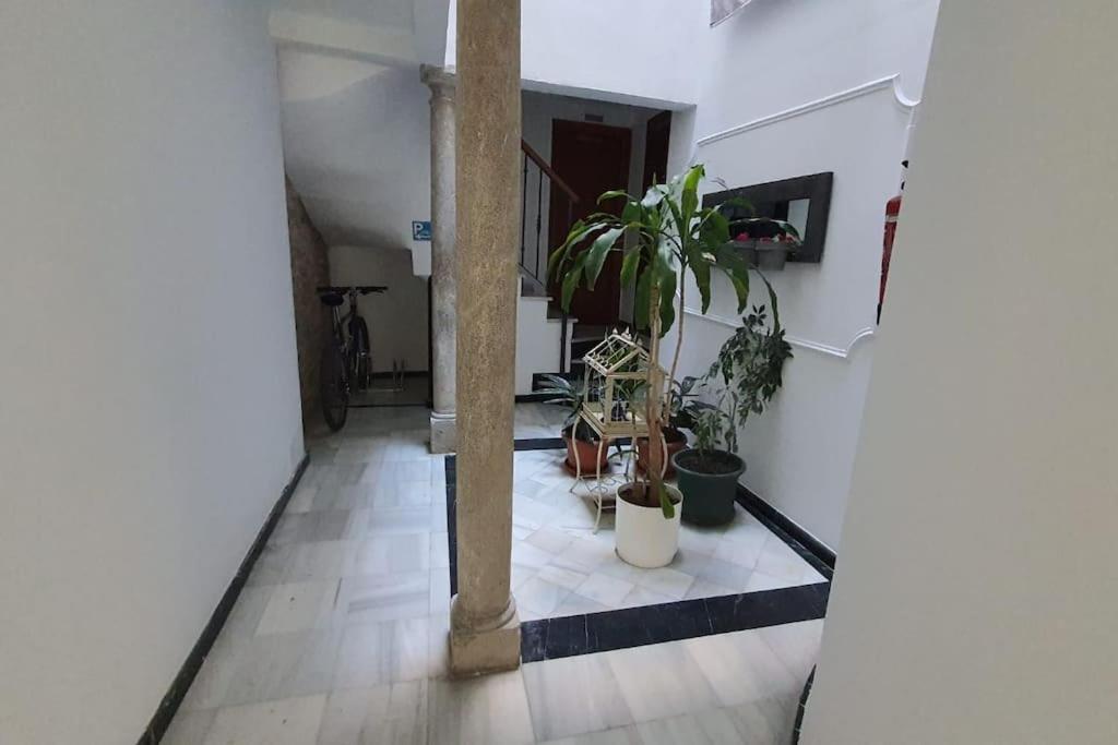 Aloja T Elvira Apartman Granada Kültér fotó